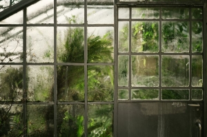 Sustainable Greenhouse Setup: Organize with Eco-Awareness