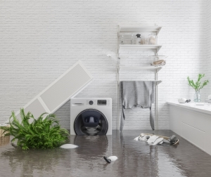 Understanding Restoration Services and Why They're Important