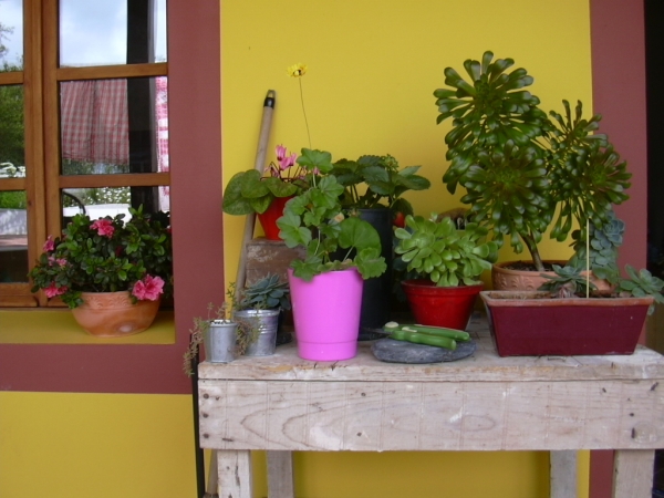Looking to Redecorate for Spring? Look No Further