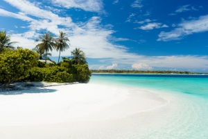 Hello From Paradise! The Chance To Work Remotely Sends Americans To Dream Destinations