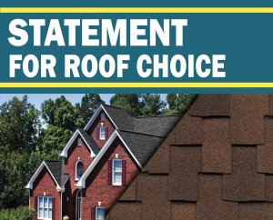 How to make a Statement with your Roof Choice