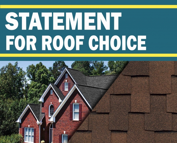 How to make a Statement with your Roof Choice