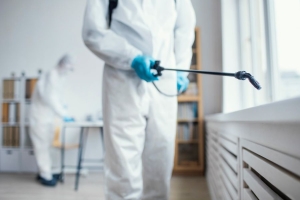 How to Choose the Right Pest Control Company for Lasting Results