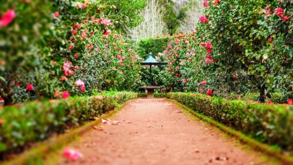 A very quick guide to landscaping your garden