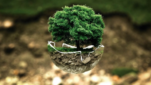 How Environmental Consulting Firms Help Businesses in Sustainable Development