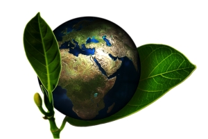 Is It Time to Go Green in 2019?