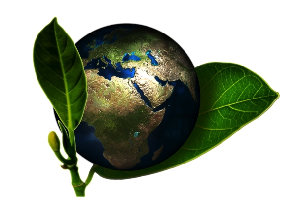 Is It Time to Go Green in 2019?