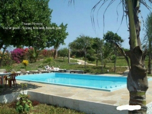 pool in one of the celebrity homes on sale/rent