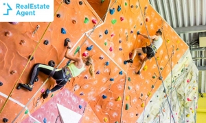 Commercial Real Estate Climbing Gyms