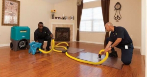 Water Damaged Furniture Restoration Best Advice and Tips