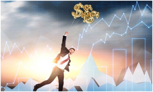 The best forex contests: chance to develop your trading skills