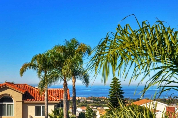 Dana Point Ocean View Homes