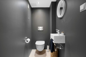 Top 5 Smart Toilet Brands: From Premium Tech to Affordable Options
