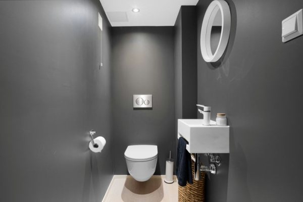 Top 5 Smart Toilet Brands: From Premium Tech to Affordable Options