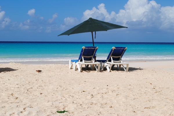 Finding the Best Beach House Property