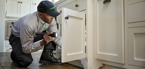 Building And Pest Inspection In Gold Coast For A New Property