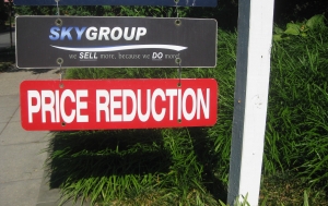 Buy your rental property.