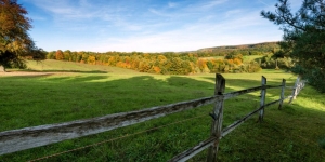 Tips to Keep in Mind Prior to Purchasing Land