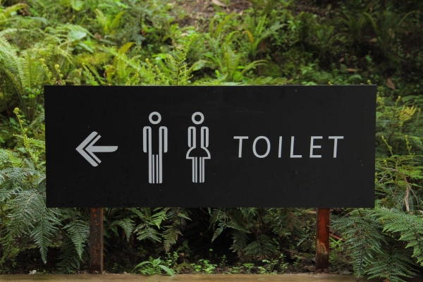 Tips to Buying a Toilet in Your New Home