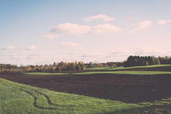 How Owning Land Can Reduce Taxes