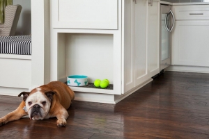 How to Choose the Best Pet-Friendly Flooring for Your House