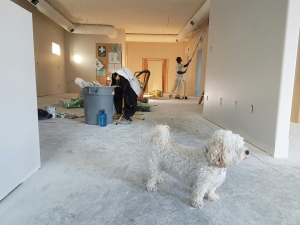 Ten Essential Home Improvement Projects to Complete Before Moving In