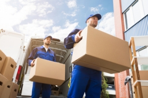 When Should You Hire Adelaide Removalists?