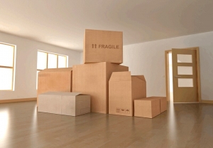 6 Tips for Moving Day