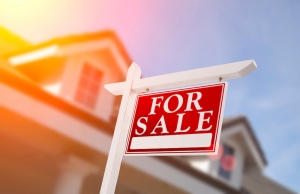 How to Write a Real Estate Review for Sale Correctly