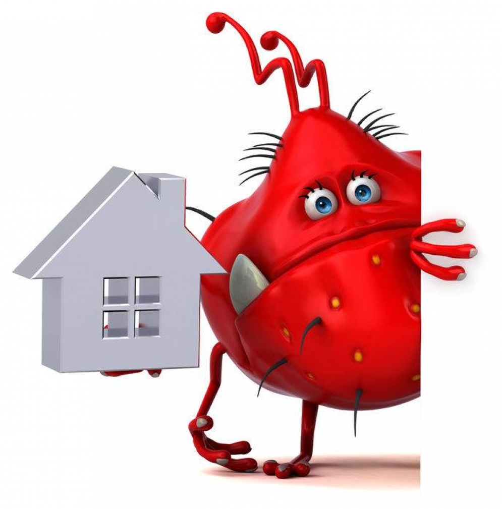 NAR Survey Finds Nearly 1 in 4 Home Sellers Changed How Their Home is Viewed on the Market Due to Coronavirus Outbreak