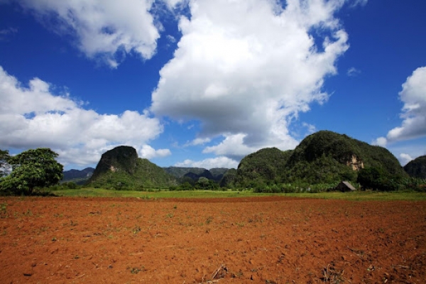 6 Ideas for Upgrading Your Undeveloped Land