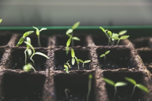 Family Home Improvement Projects You Can Do During the Quarantine