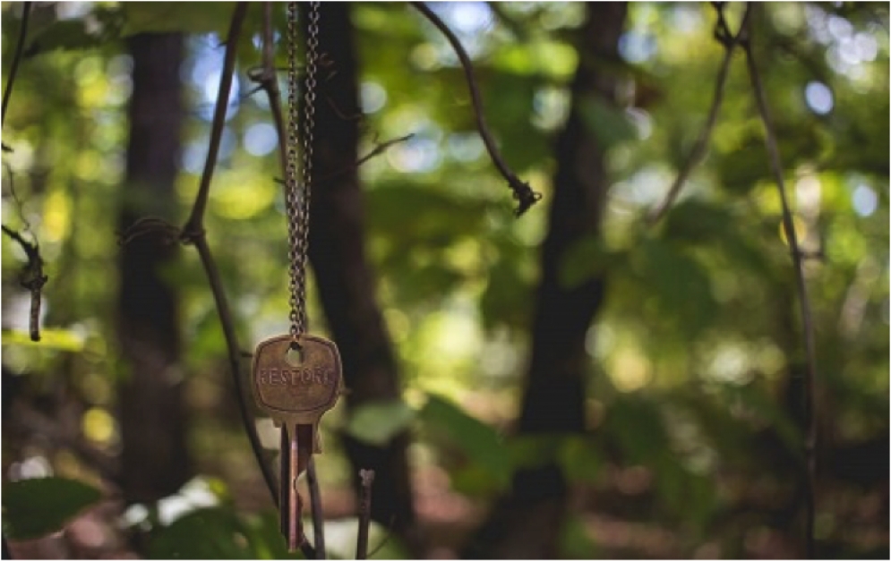 Outline for FSBO Success