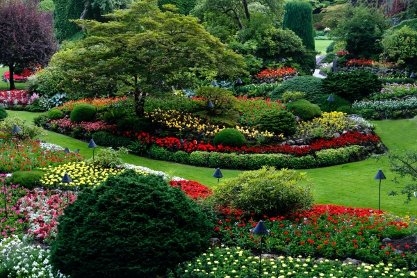 Landscaping Ideas for a Sloping Block