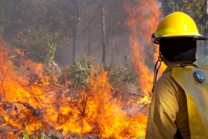 Why Some Homes Survive Wildfires - And Others Don't