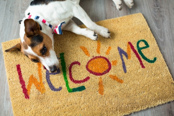 Top Tips For a Clean Home When You Have Pets