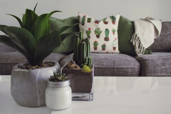 Home Decor Saving Tips for Every Season