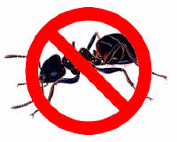 Private Exterminator