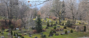 Why Buying Real Estate Beside a Cemetery Might Be Your Best Purchase Yet!