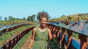 Selling Agricultural Land to Developers: Opportunities and Challenges