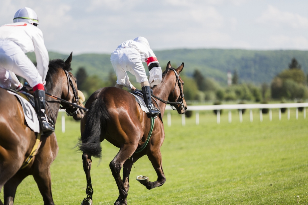 Mandaloun Replaces Medina Spirit