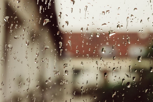 3 Vital Parts of Your Home Renovation to Plan around the Weather