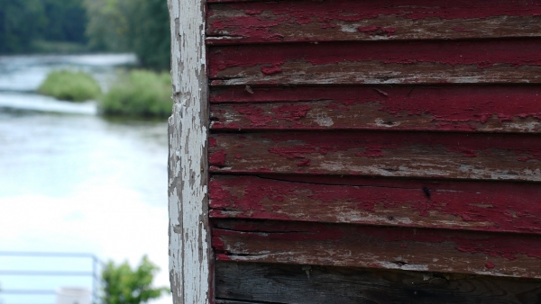 5 Signs You Need a New House Siding