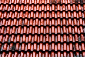 The dangers of standing water on your roof and how it can lead to costly repairs