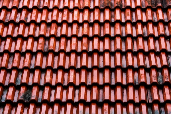 The dangers of standing water on your roof and how it can lead to costly repairs