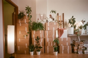 Should You Downsize? 5 Reasons to Consider it
