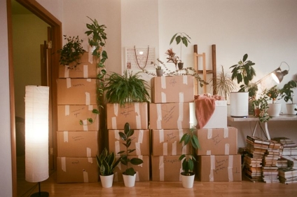 Should You Downsize? 5 Reasons to Consider it