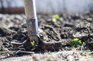 Introduction to Homesteading: What Is It &amp; What Do You Need?