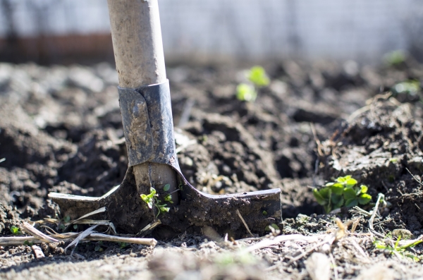 Introduction to Homesteading: What Is It &amp; What Do You Need?