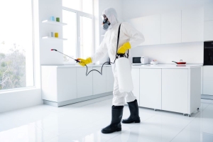 How to Quickly Find Biohazard Cleanup Services in an Emergency